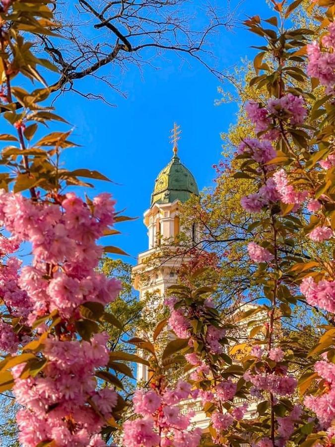 Старовинні Апартаменти У Центрі Міста Uzhhorod Exterior foto
